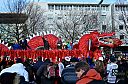 2013-02-10_Karneval_16136.jpg