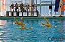 2013-08-04_SynchonizedSwimming_19173.jpg